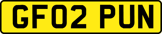 GF02PUN