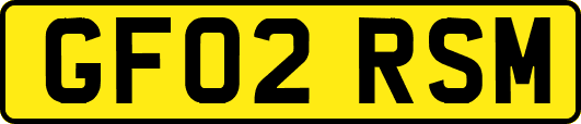 GF02RSM