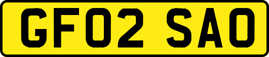 GF02SAO