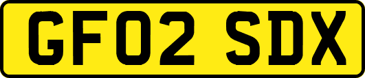 GF02SDX
