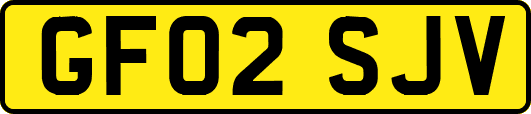GF02SJV
