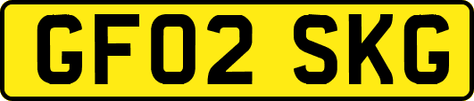 GF02SKG