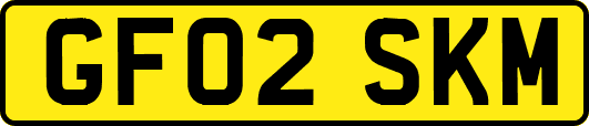 GF02SKM