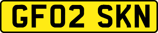 GF02SKN