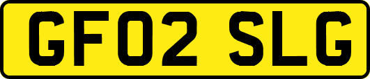 GF02SLG