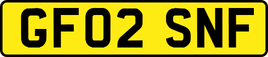GF02SNF