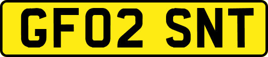 GF02SNT