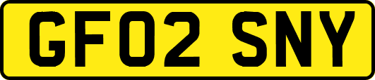 GF02SNY