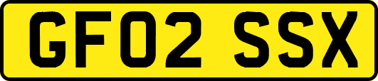 GF02SSX