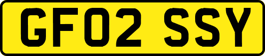GF02SSY