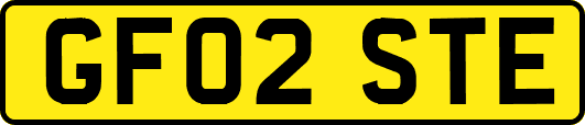 GF02STE