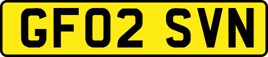 GF02SVN