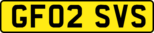 GF02SVS