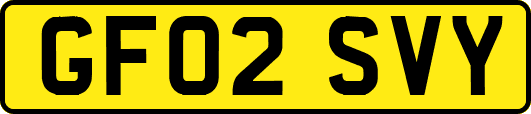 GF02SVY