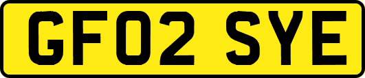 GF02SYE