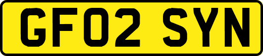 GF02SYN