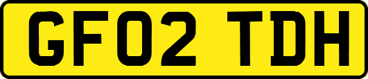 GF02TDH