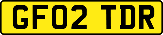 GF02TDR