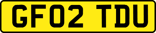 GF02TDU