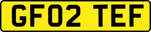 GF02TEF