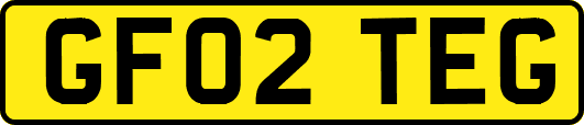 GF02TEG