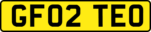 GF02TEO