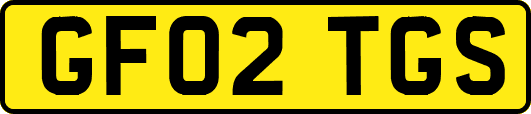 GF02TGS