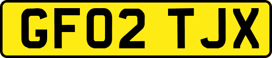 GF02TJX