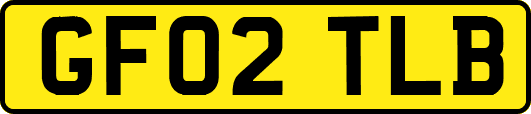 GF02TLB
