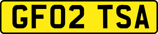GF02TSA