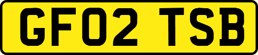 GF02TSB