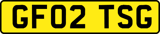 GF02TSG