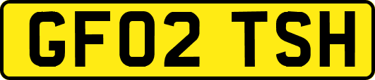 GF02TSH