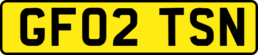 GF02TSN