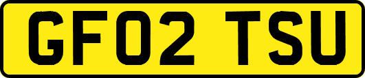 GF02TSU