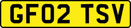 GF02TSV