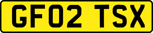 GF02TSX