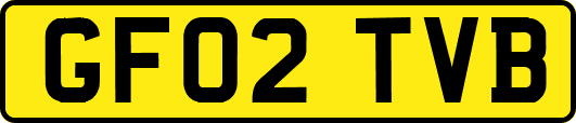 GF02TVB