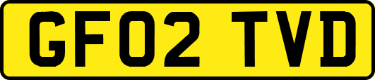 GF02TVD