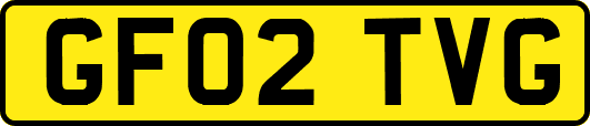 GF02TVG