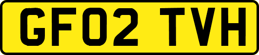 GF02TVH