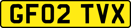 GF02TVX
