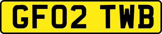 GF02TWB