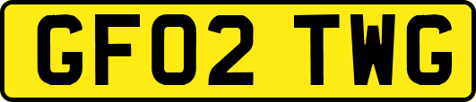 GF02TWG