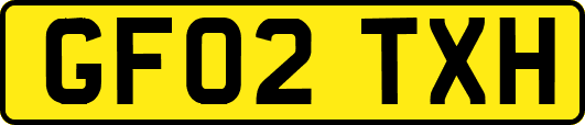 GF02TXH