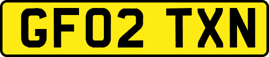 GF02TXN