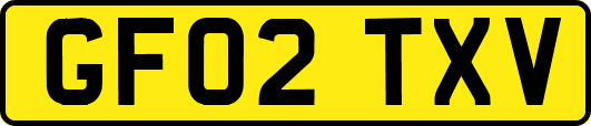 GF02TXV