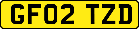 GF02TZD