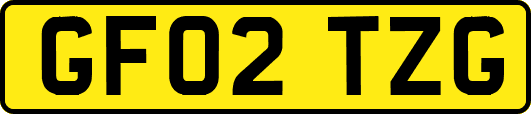 GF02TZG