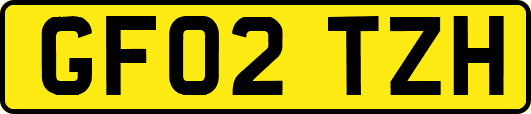 GF02TZH